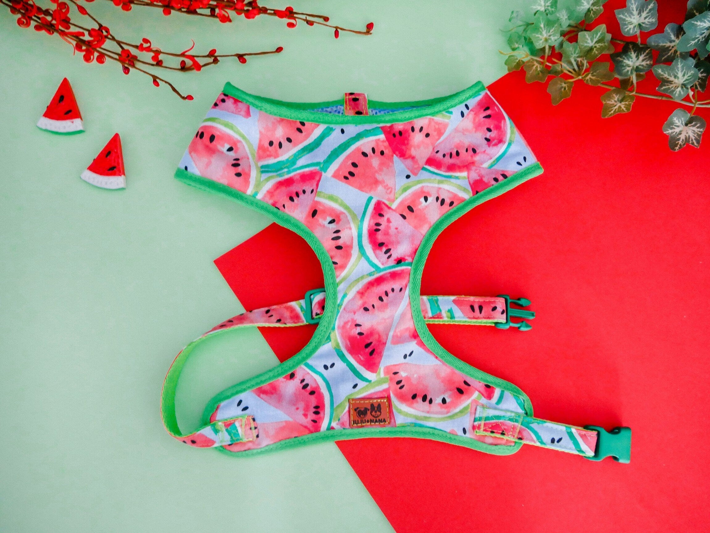 Premium Dog Harness with Watermelon Print - Adjustable & Breathable Pet Vest for Small & Medium Dogs - Perfect for Walking, Hiking & Outdoor Adventures