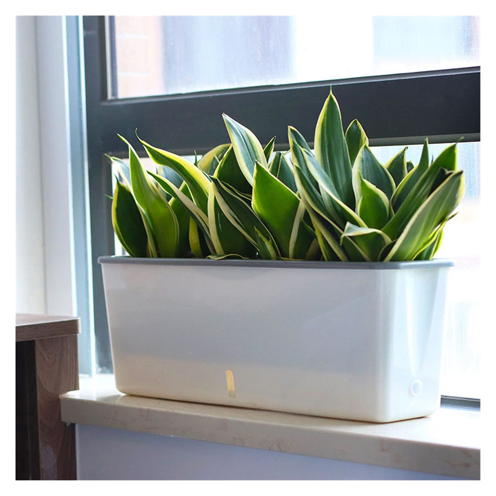 Self-Watering Raised Garden Bed - Double Layer Planter Box for Indoor & Outdoor Plants, Flowers, Herbs - Modern Decorative Yellow Planter for Home Gardening & Patio Decor