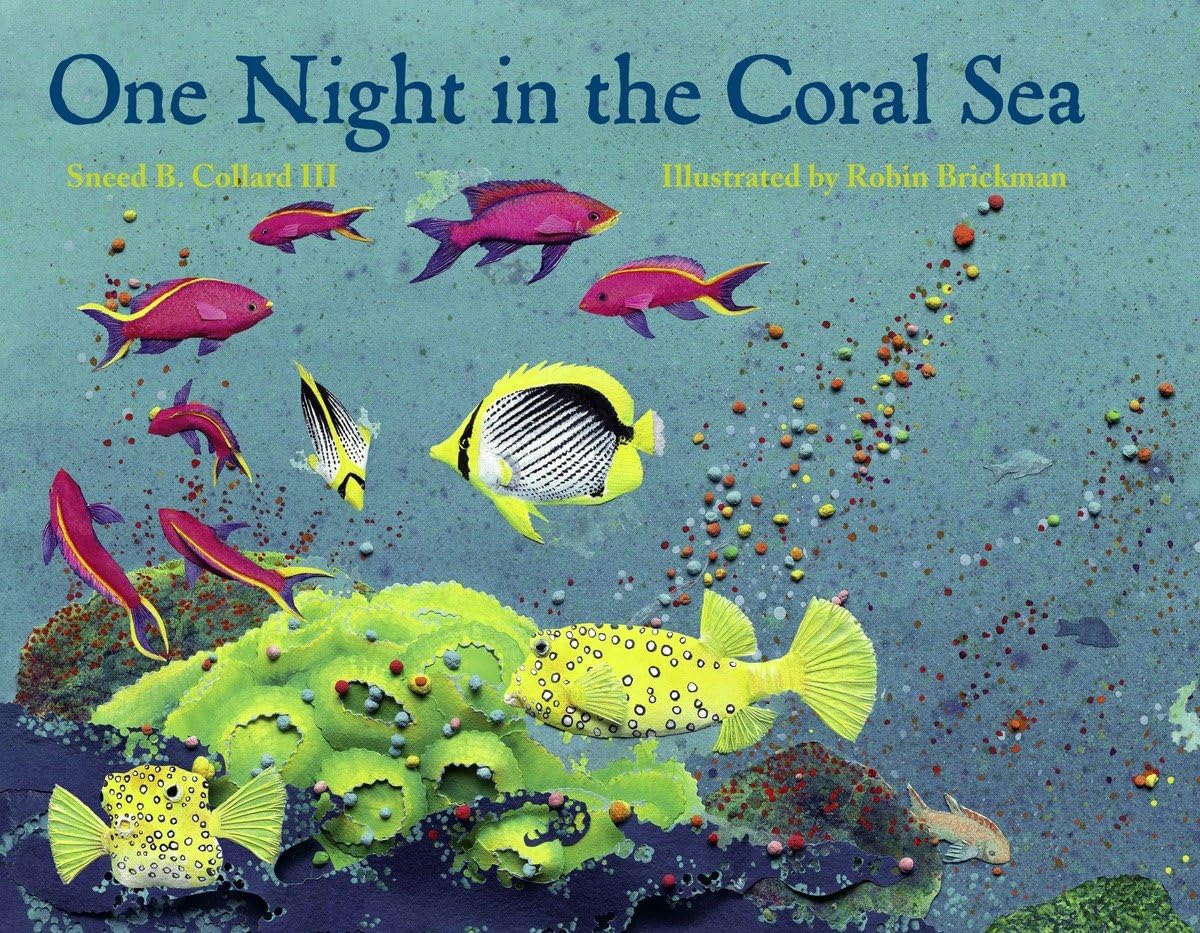 One Night in the Coral Sea - Romantic Ocean Themed Bedding Set | Coral Reef Print Duvet Cover & Pillowcases | Perfect for Beach House, Coastal Decor & Tropical Bedroom Design