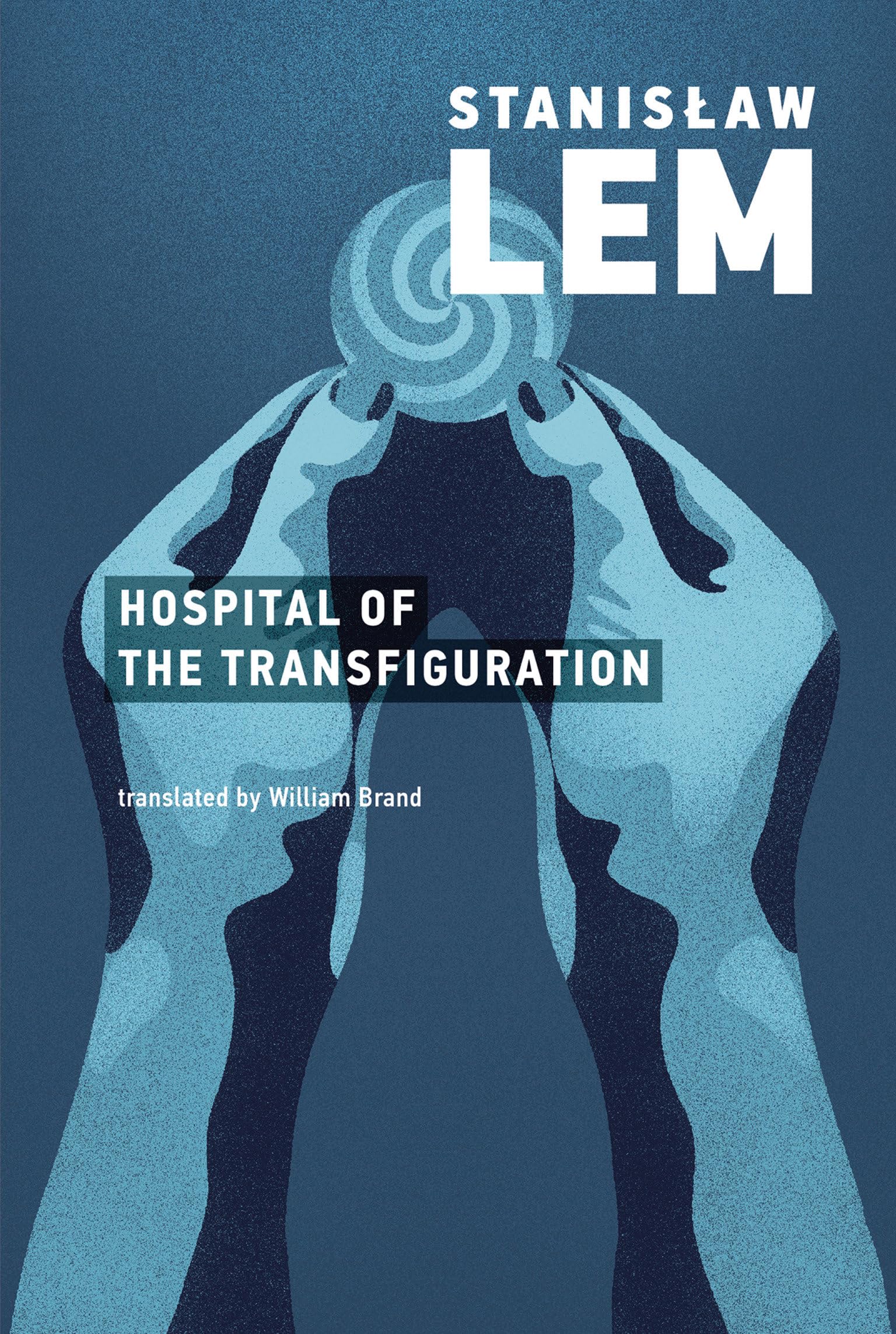 The Hospital of the Transfiguration - Historical Novel by MIT Press | Perfect for Book Clubs & Literature Lovers