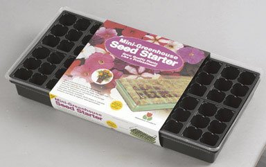 Plantation Seed Starter Pack - for Home Gardening & DIY Planting