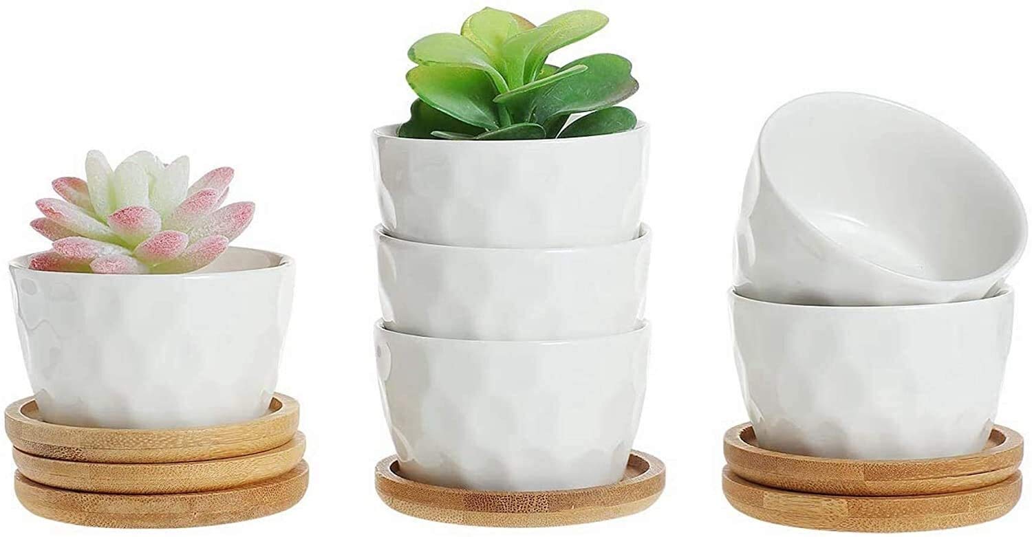 6-Pack White Ceramic Succulent Pots with Bamboo Trays - Round Polka Dot Planters for Succulents, Herbs & Cactus - Perfect for Office Desk, Window Sill, and Home Decor