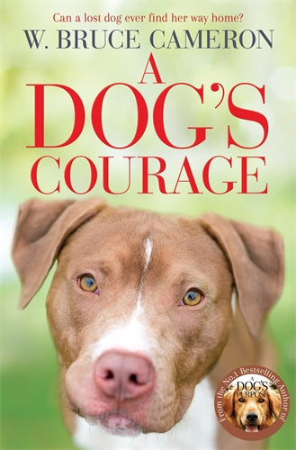A Dog's Courage - Inspiring Story of Bravery and Loyalty | Perfect for Pet Lovers, Animal Rescue Supporters & Motivational Readers