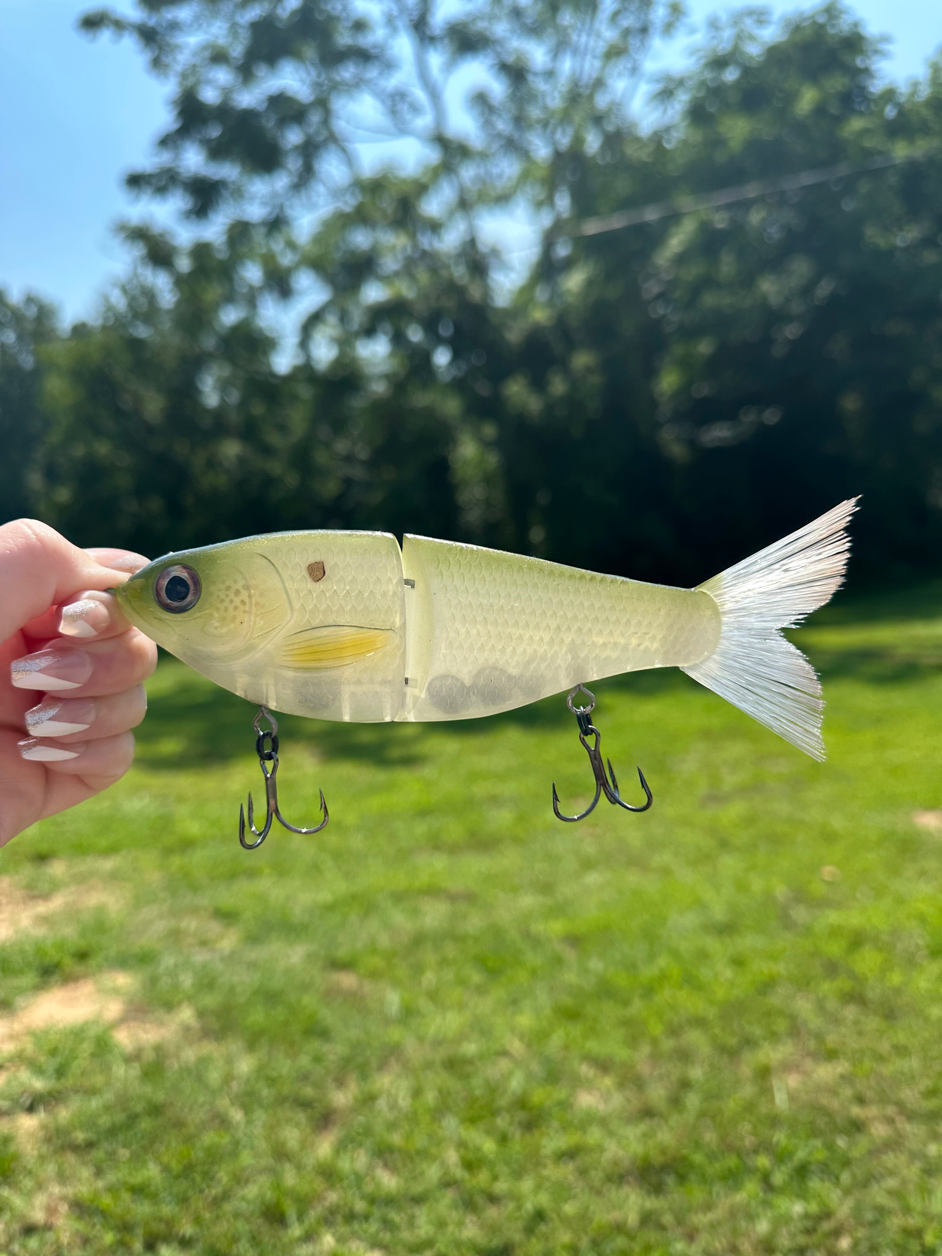 Handpainted Glide Bait Fishing Lure - Green Gizzard Shad Pattern | Topwater Bass Fishing & Saltwater Game Fish Lure for Professional Anglers