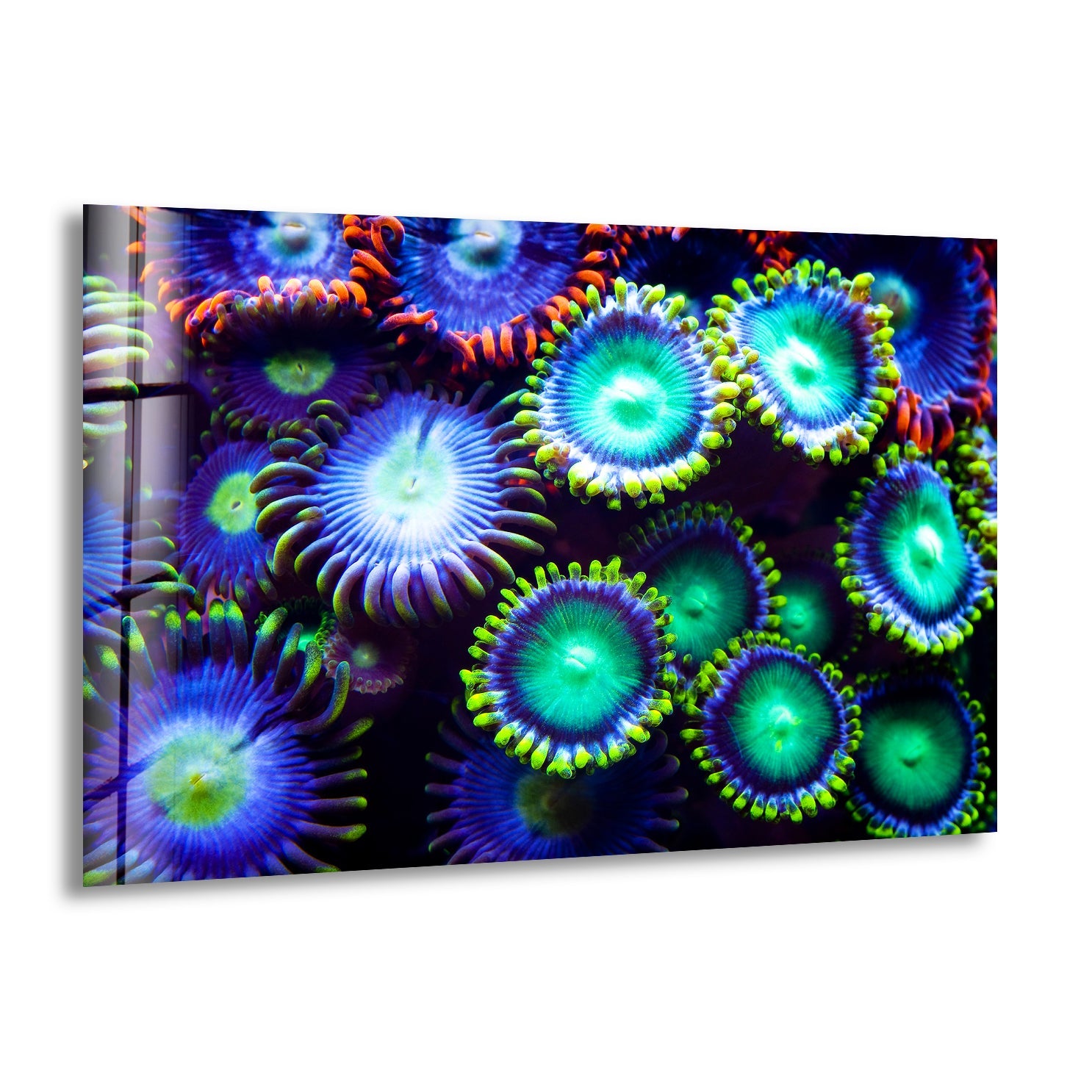 Bioluminescent Coral Bloom Glass Wall Art - Stunning Underwater Glow Decor for Living Room, Bedroom & Office
