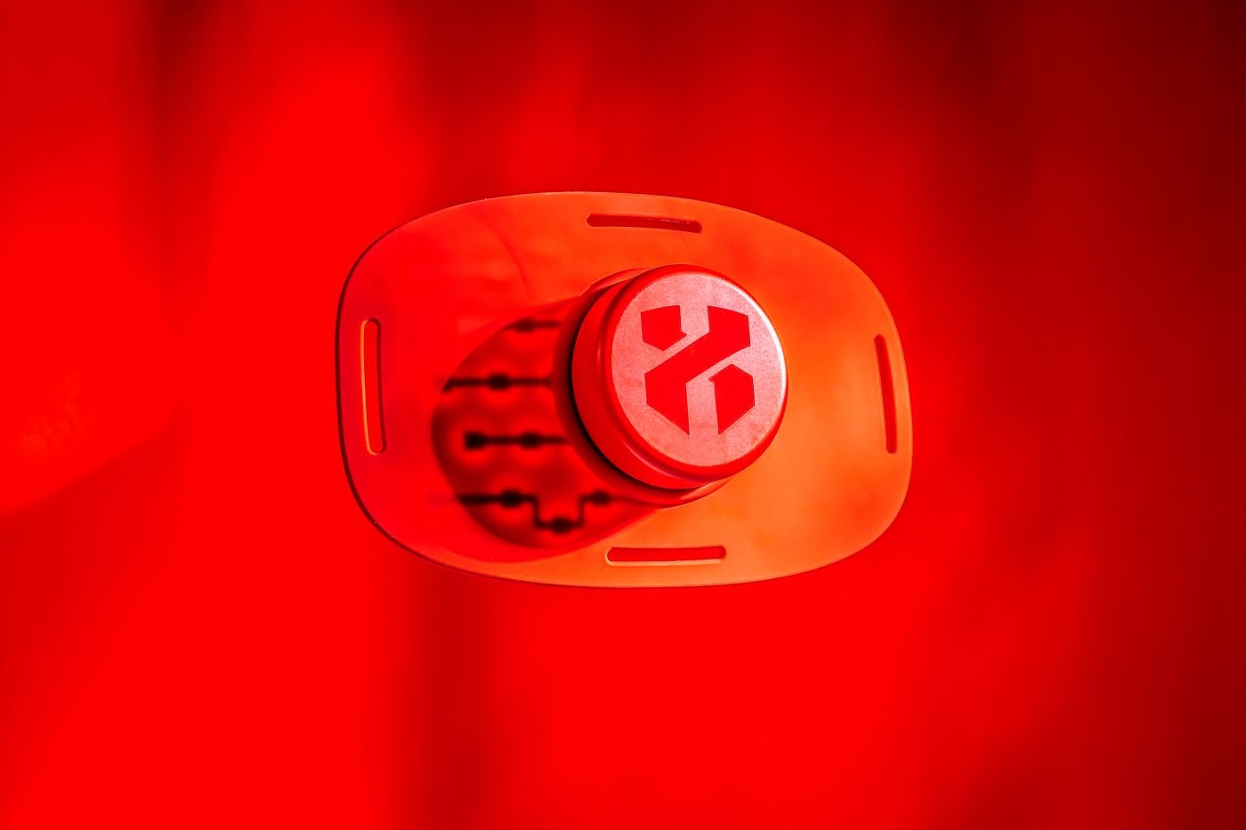 Lumaflex Essential Red Light Therapy Device for Pain Relief, Skin Rejuvenation & Muscle Recovery - Home & Professional Use