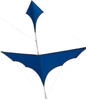 Blue Canard Kite - High Quality Outdoor Flying Kite for Kids & Adults - Perfect for Beach, Park, and Backyard Fun