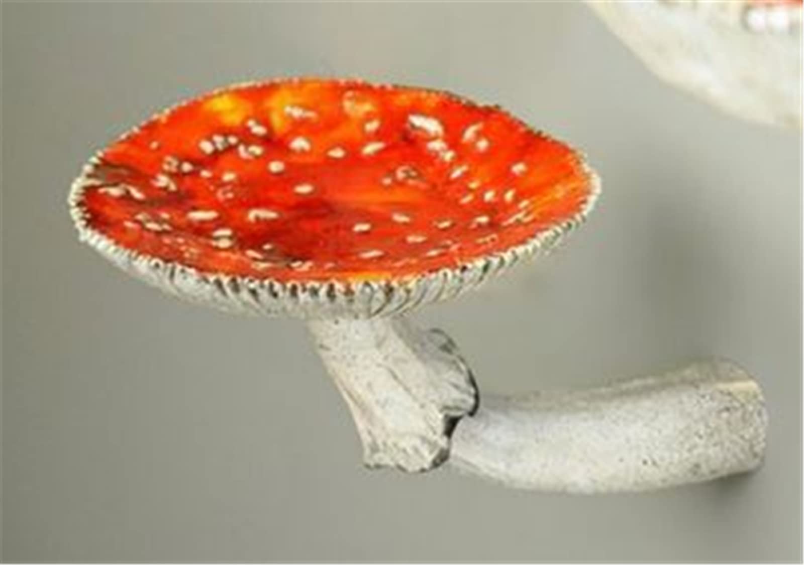 Cute Mushroom Wall Decor Floating Shelf - Creative Hanging Shelf for Living Room, Kitchen, Bathroom - Unique Art Rack for Home Decor | Perfect for Small Spaces, Plant Display & Organizing Essentials