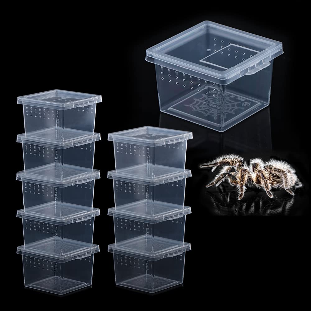 10 Pcs Clear Acrylic Insect Spider Terrarium - Small Reptile Scorpion Centipede Breeding Box for Hatching & Observation | Perfect for Pet Enclosures, Science Projects & Home Decor