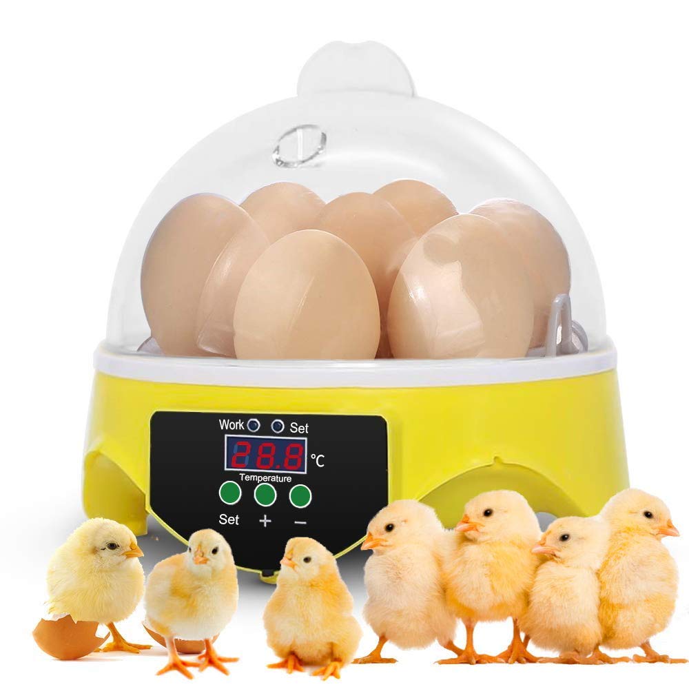 Sailnovo 6 Egg Incubator with Temperature Control - Automatic Poultry Hatcher for Chicken, Duck, Goose, Quail & Parrot Eggs | Perfect for Home Farming, Classroom Projects & Bird Breeding