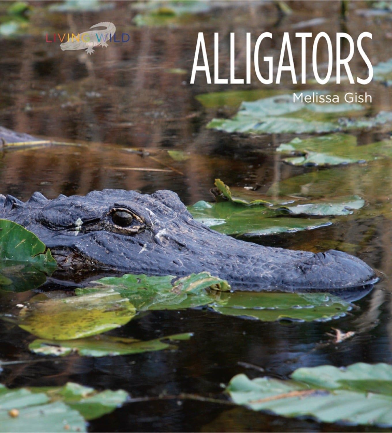 Alligators Book - ISBN 978-1-58341-967-0 | Wildlife Education & Nature Exploration for Kids & Adults