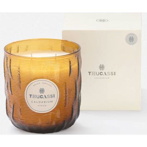 Thucassi Caldarium Scented Candle - Atrium Fragrance, 28oz Large Jar Candle for Home, Spa & Relaxation - Aromatherapy Gift for Women & Men
