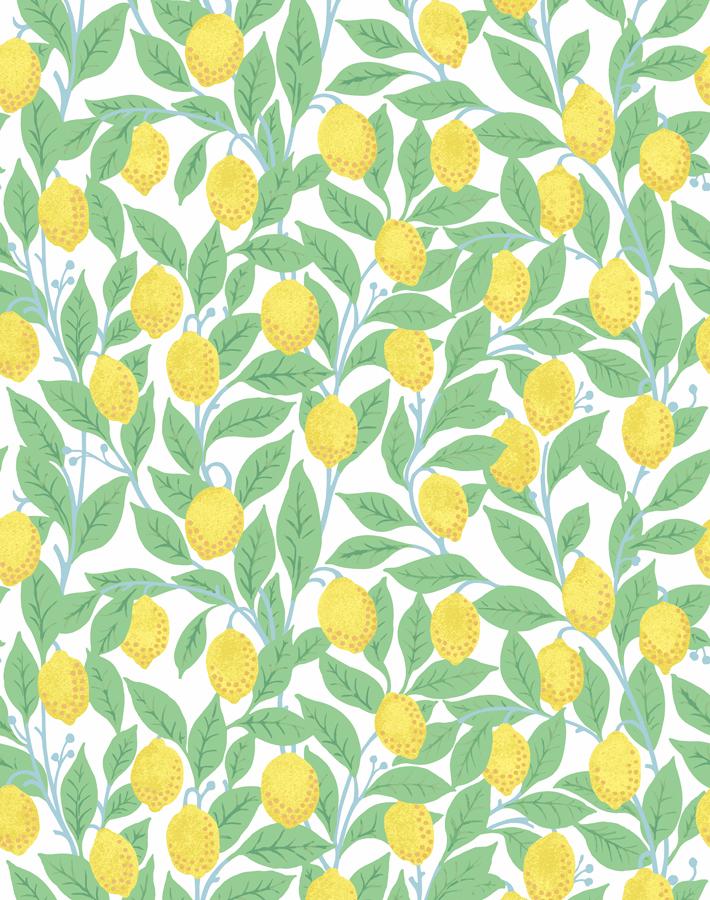 Nathan Turner White Lemons Wallpaper - Peel & Stick Removable Wallpaper for Kitchen, Bathroom, and Home Decor