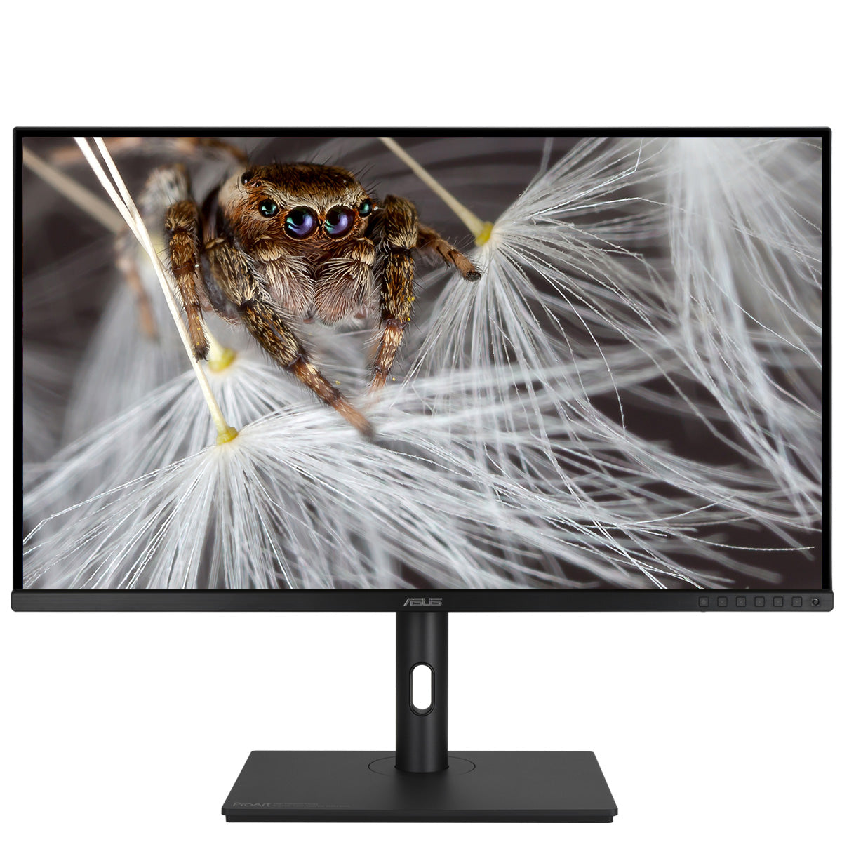 ASUS ProArt PA329CV 32-inch 4K UHD HDR400 IPS Professional Monitor for Graphic Design, Video Editing & Photography - Perfect for Creative Professionals & Digital Artists