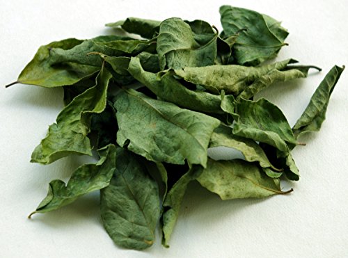 Organic Curry Leaf Bulk Herbs - Fresh, Aromatic & Nutrient-Rich for Cooking, Ayurveda & Home Remedies | Perfect for Indian Cuisine, Tea Blends & Natural Healing