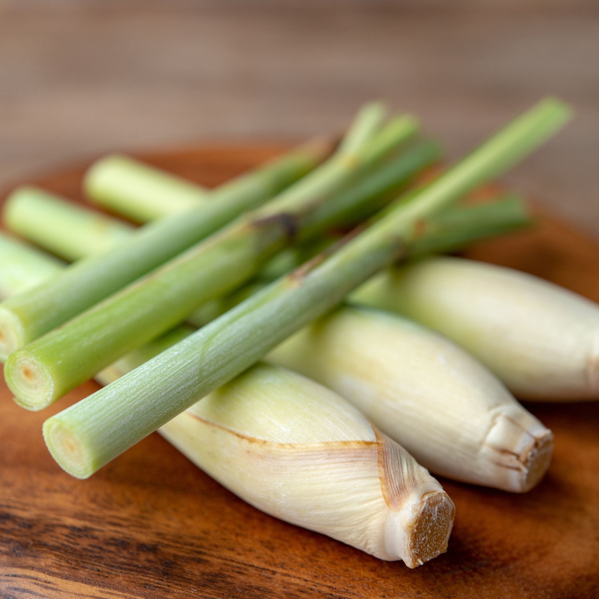 Pure Lemongrass Essential Oil for Aromatherapy, Stress Relief & Skin Care - 100% Natural Therapeutic Grade Oil for Diffusers, Massage & DIY Beauty