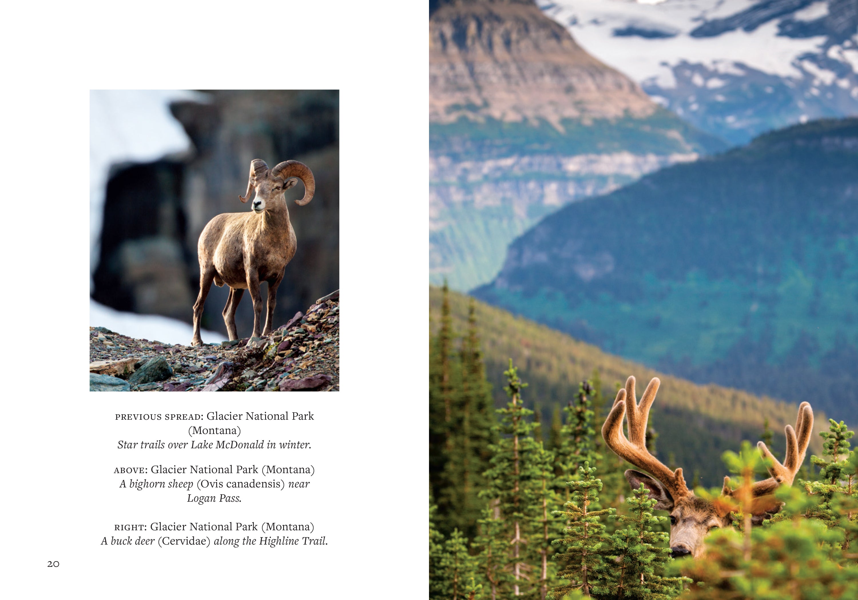 Explore America's National Parks - Top Scenic Hiking & Camping Destinations for Outdoor Adventures