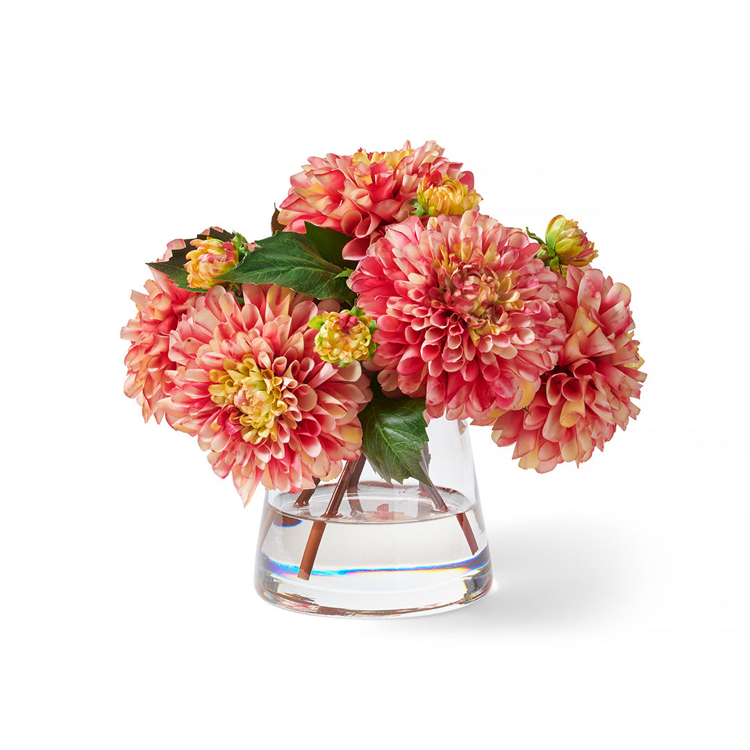 Beautiful Striped Dahlia Flowers - Fresh Cut Garden Blooms for Weddings, Home Decor & Gifts