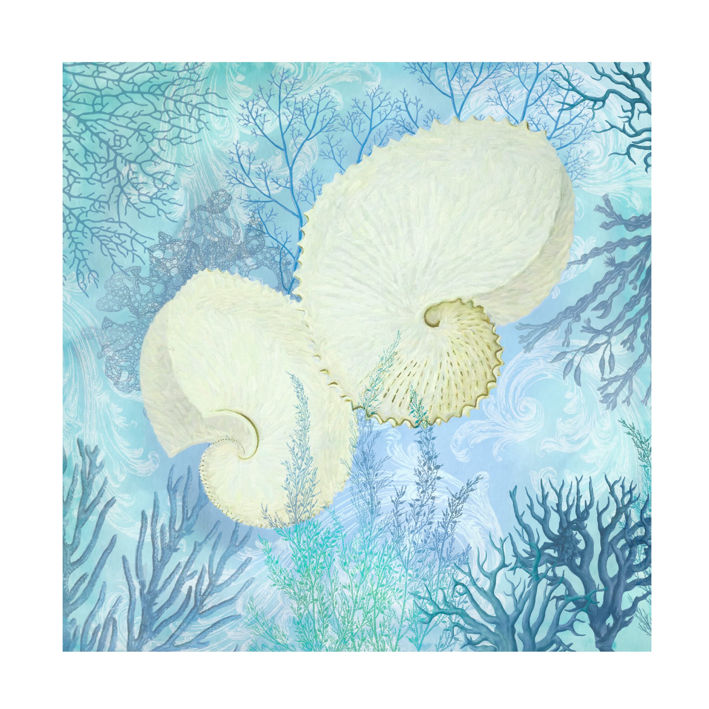 Trademark Fine Art 'Marine Love Paper Shells' Canvas Wall Art by Cora Niele - Coastal Beach Decor for Living Room, Bedroom & Office