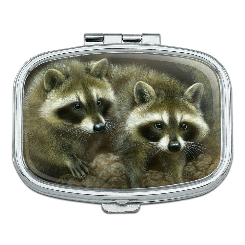 Adorable Raccoon-Themed Rectangle Pill Case - Portable Medicine Organizer Box for Travel, Work & Daily Use - Perfect Gift for Animal Lovers & Pharmacy Storage