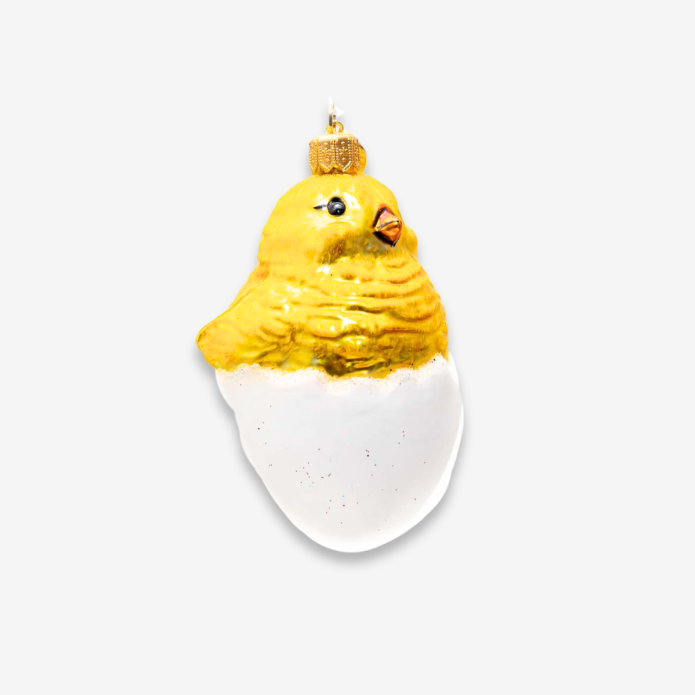 Funny Chicken in Egg Ornament - Cute Easter Decorations, Unique Kitchen Decor & Funny Gifts for Poultry Lovers - Perfect for Easter Egg Hunts, Farmhouse Decor & Christmas Tree Ornaments