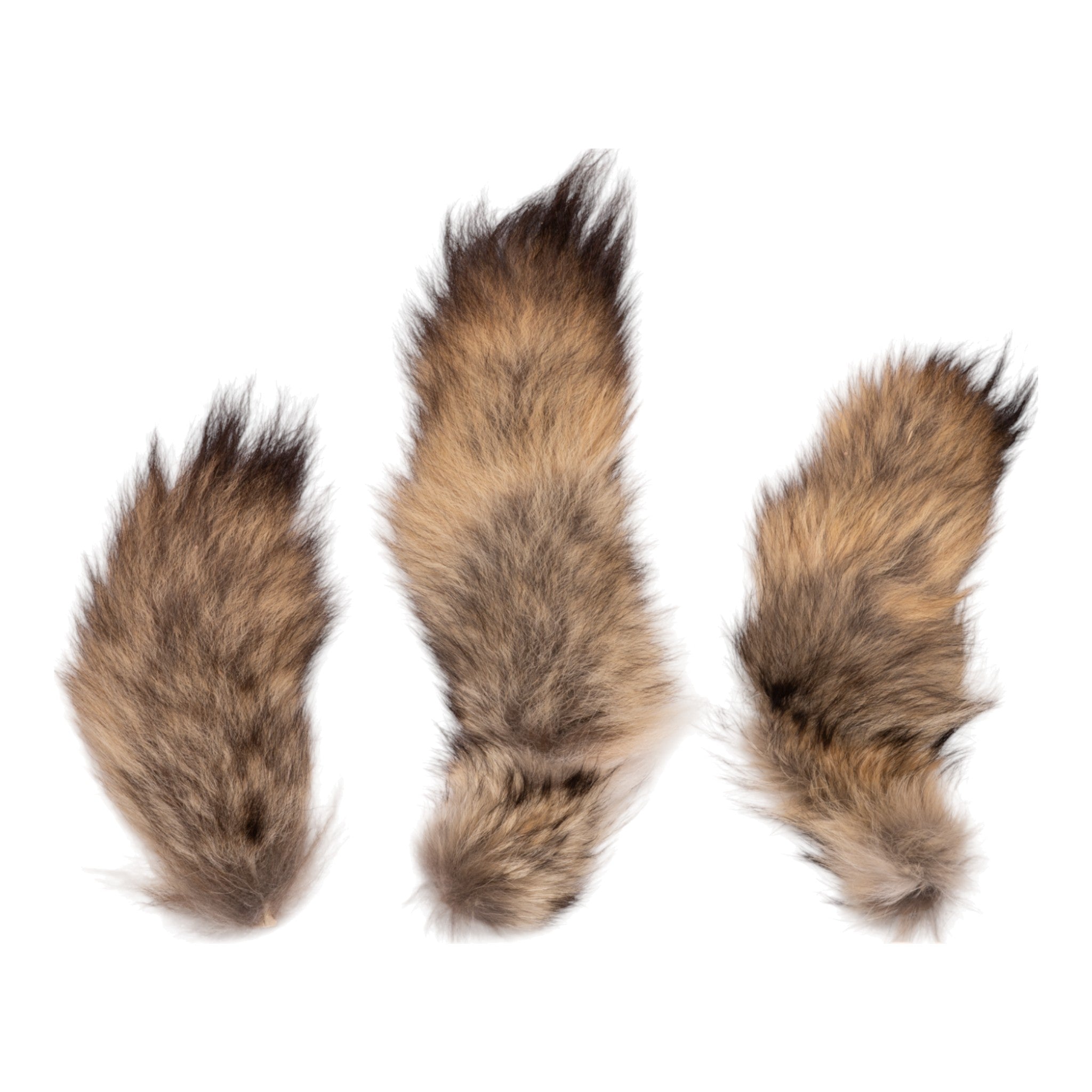 Genuine Animal Tail Hide - Assorted Species (Single Piece) - Perfect for Crafts, Costumes, and Home Decor