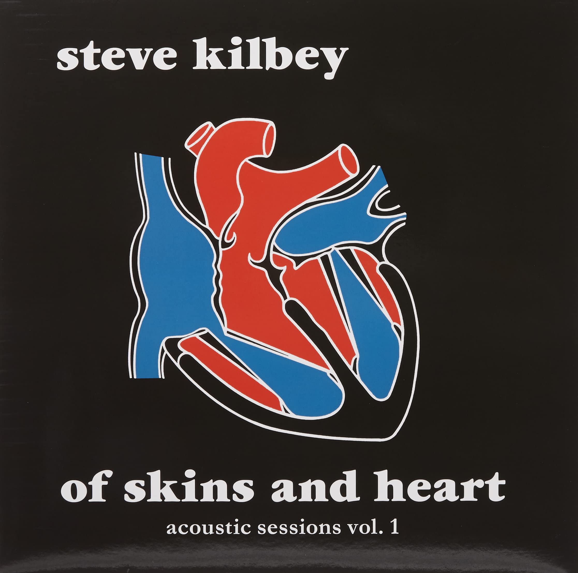 Of Skins & Heart: Acoustic Sessions Vol. 1 Red Vinyl Record - Perfect for Relaxing Evenings & Music Collectors