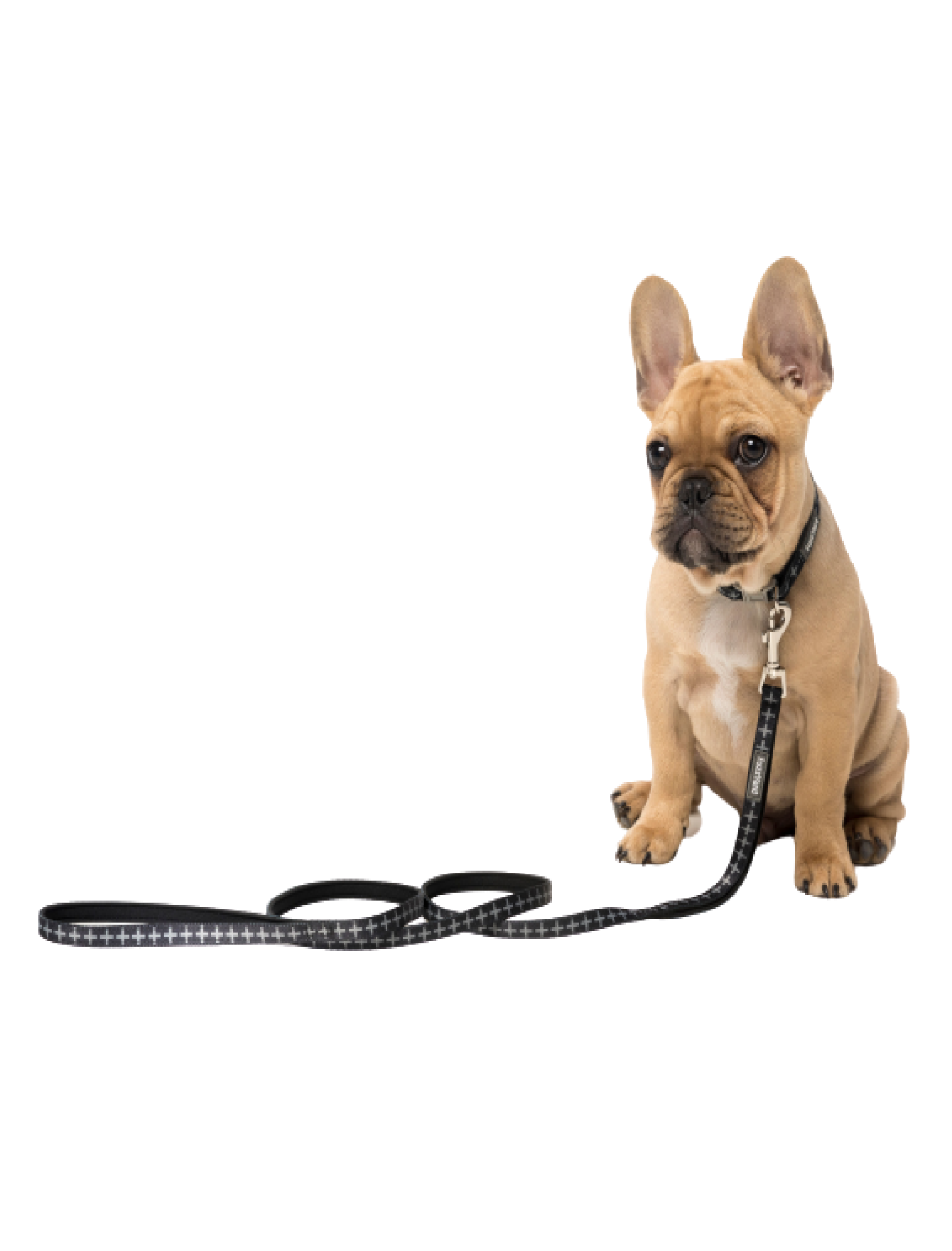 FuzzYard Premium Dog Leash - Durable & Adjustable (2 Sizes) - Perfect for Walking, Training & Outdoor Adventures with Your Pet