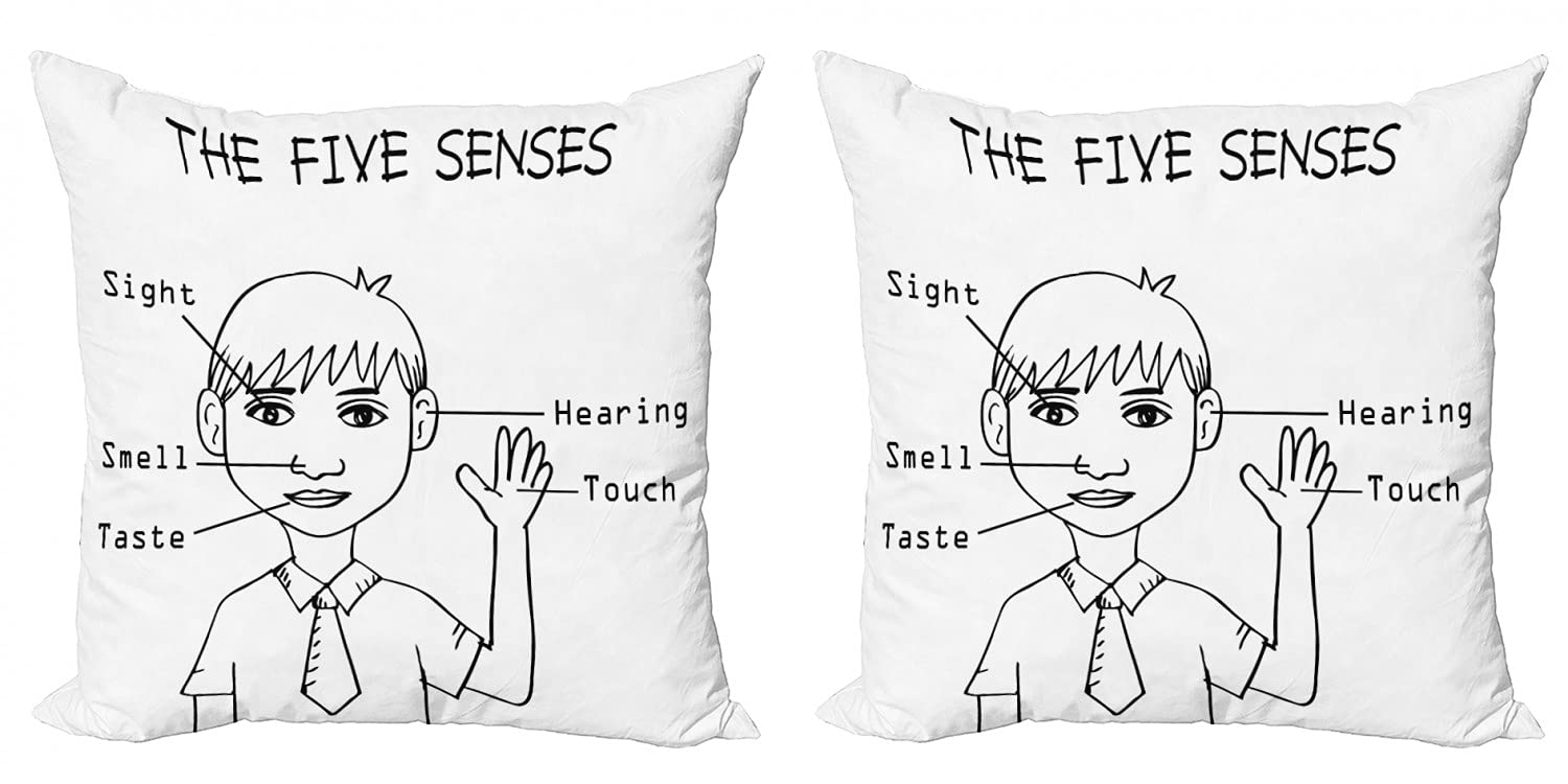 Ambesonne Science Themed Decorative Throw Pillow Covers Pack of 2 - 5 Senses Sketch Character Portrait Monochrome Design for Couch, Bedroom & Living Room - 24 Inch White & Black Cushion Covers | Perfect for Home Decor, Gifts & Science Enthusiasts