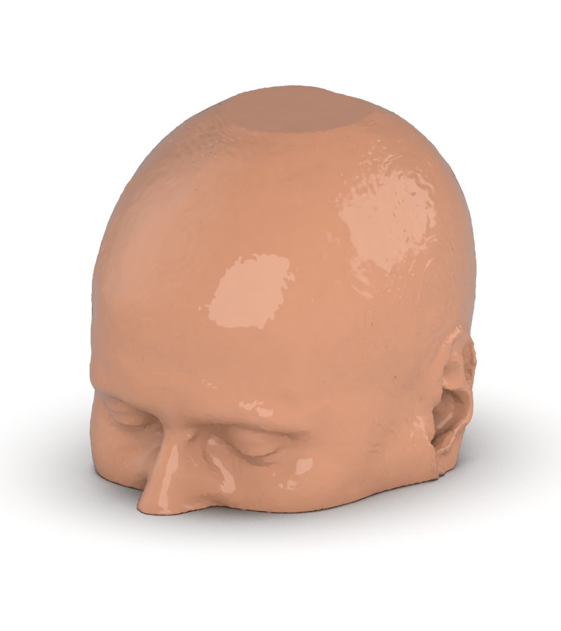 CTA Head Phantom for CT Scan & X-Ray Training - High-Quality Medical Imaging Education Tool for Radiology Students & Technicians