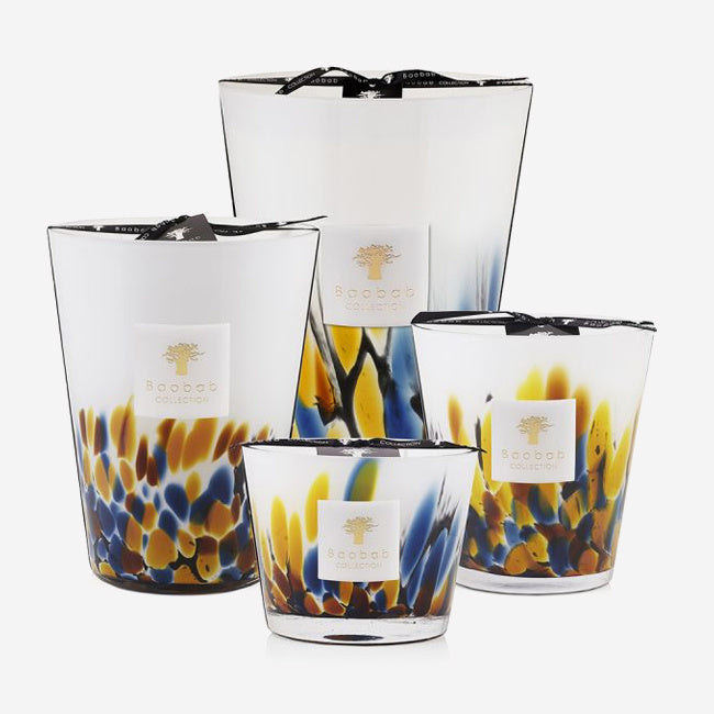 Baobab Collection Rainforest Mayumbe Scented Candle - Premium Soy Wax Candle with Exotic Tropical Fragrance for Home Decor, Relaxation & Aromatherapy