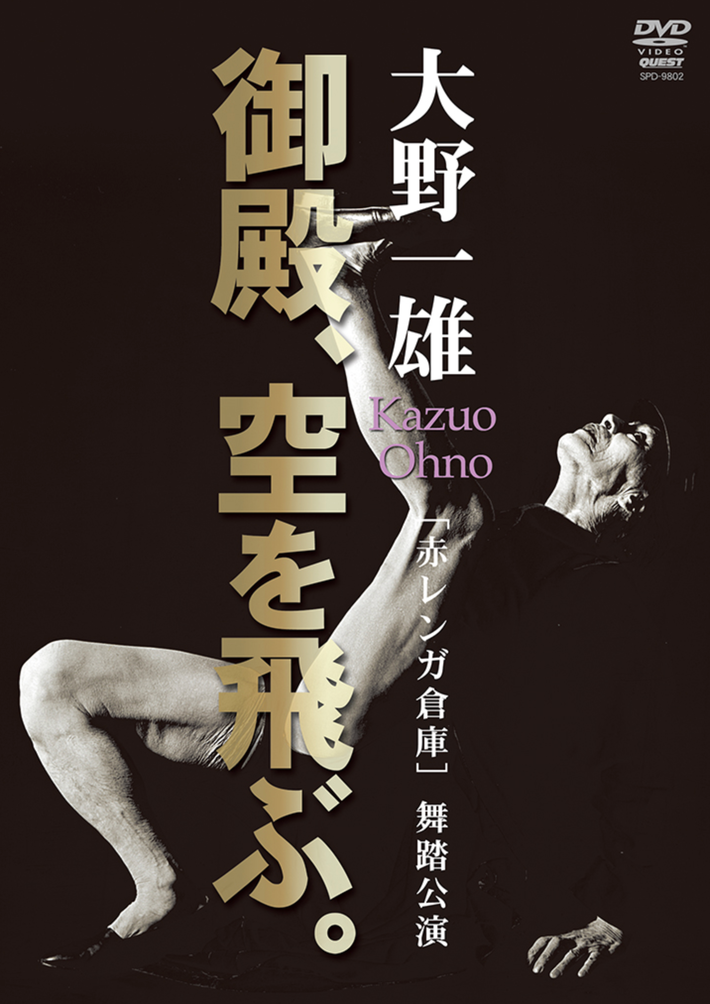 Butoh Dance DVD - Kazuo Ohno Performance | Japanese Avant-Garde Theater | Perfect for Dance Enthusiasts & Performance Art Collectors