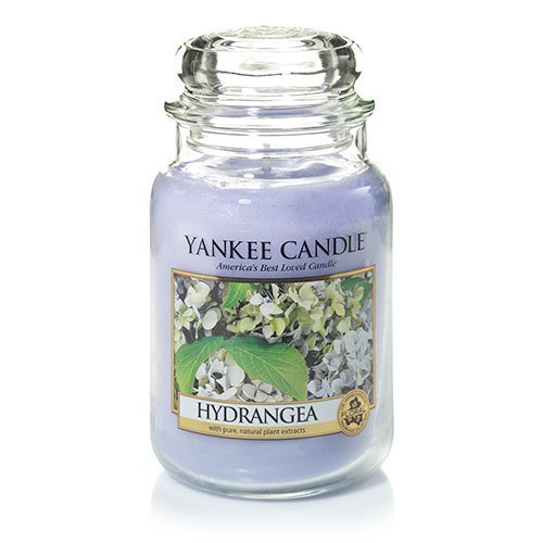 Yankee Candle Large Jar Candle - Hydrangea Floral Scent | Long-Lasting Home Fragrance for Living Room, Bedroom & Bathroom Decor | Fresh Floral Aromatherapy Candle for Relaxation & Stress Relief