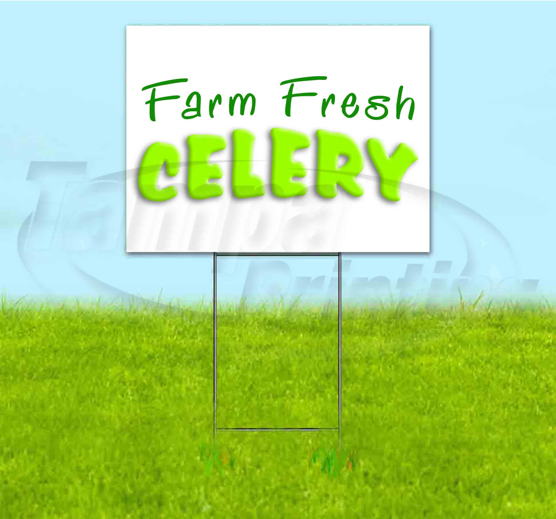 Farm Fresh Celery (18