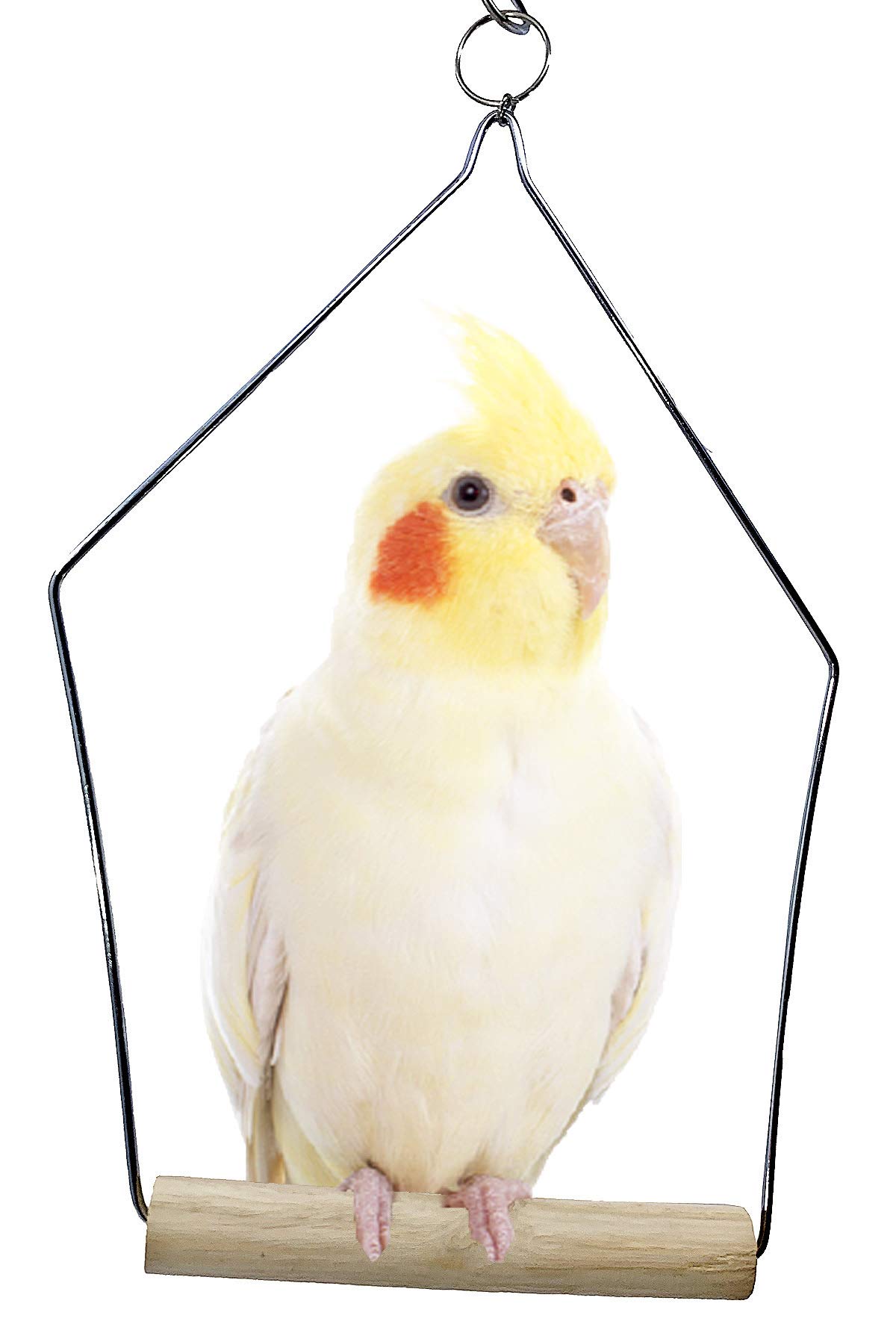 Bonka Bird Toys 3289 Medium Wooden Perch Swing for Parrots & Small Birds - 10 x 7 Inches - Natural Wood Chew Toy for Beak Exercise & Cage Enrichment - Perfect for Playtime & Stress Relief