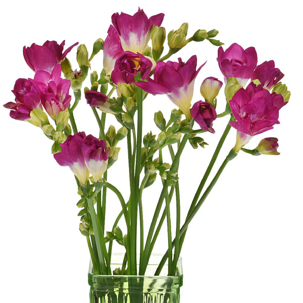 Berry Pink Designer Freesia Flower - Elegant Artificial Silk Flowers for Home Decor, Wedding Centerpieces & Party Arrangements