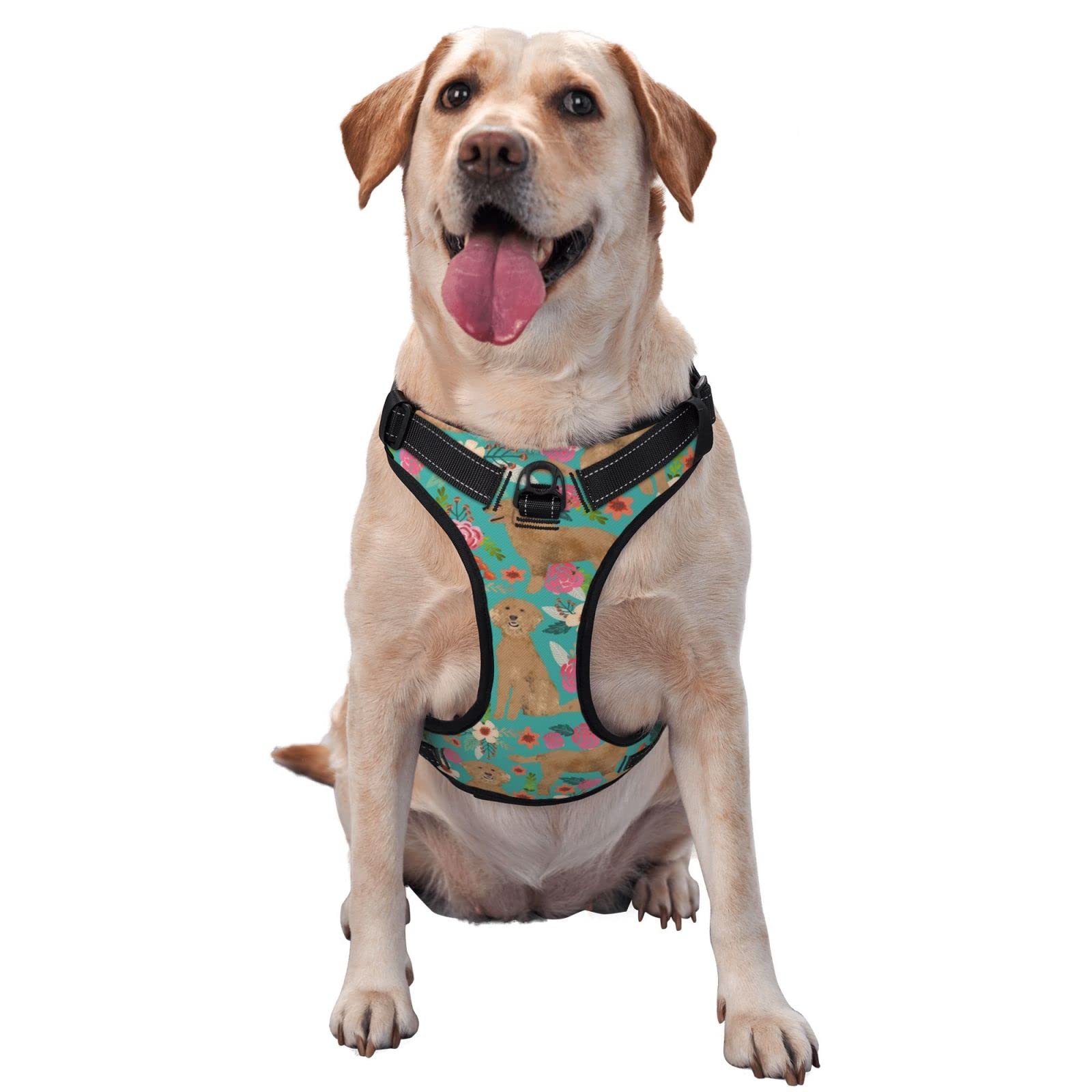 Escape Proof Soft Adjustable Dog Harness and Leash Set for Small Medium Dogs - Breathable Reflective Vest for Puppies & Pets, Perfect for Walking, Hiking & Outdoor Adventures