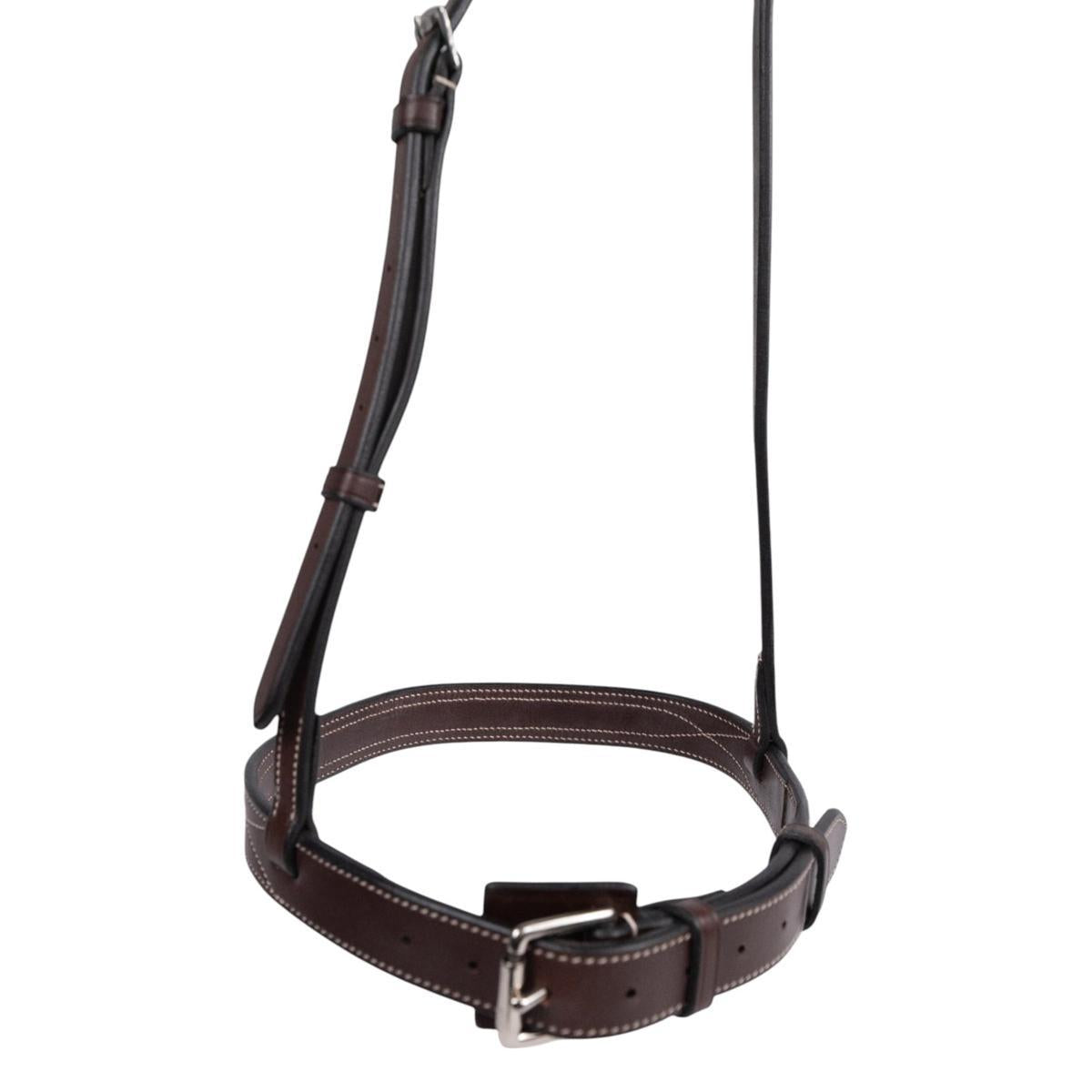 AJR Hunter Noseband with Metal Plate Insert - English Bridle Noseband for Equestrian Riding, Horse Training & Show Jumping - Perfect for Dressage, Hunter/Jumper & English Riding Competitions