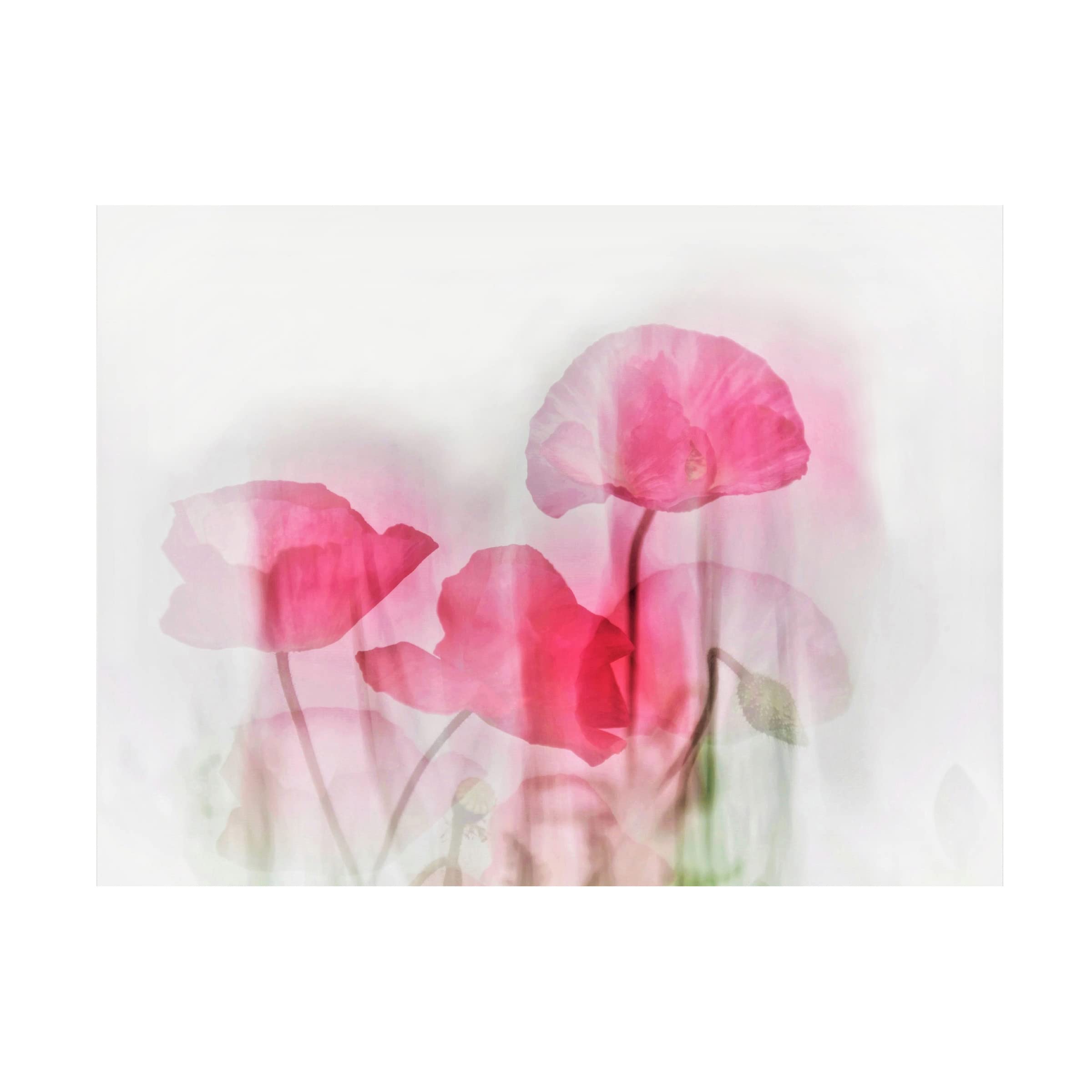 Trademark Fine Art 'Flowers' Canvas Wall Art by Cindy Liu - Elegant Floral Painting for Living Room, Bedroom & Office Decor