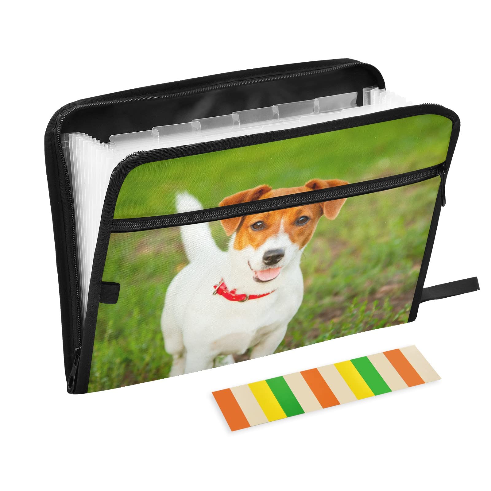 UMIRIKO 13-Pocket Expanding File Folder for Dogs & Pets - A4 Size Document Organizer with Zipper Closure & Sticky Labels | Perfect for Pet Medical Records, Vaccination Documents & Grooming Schedules