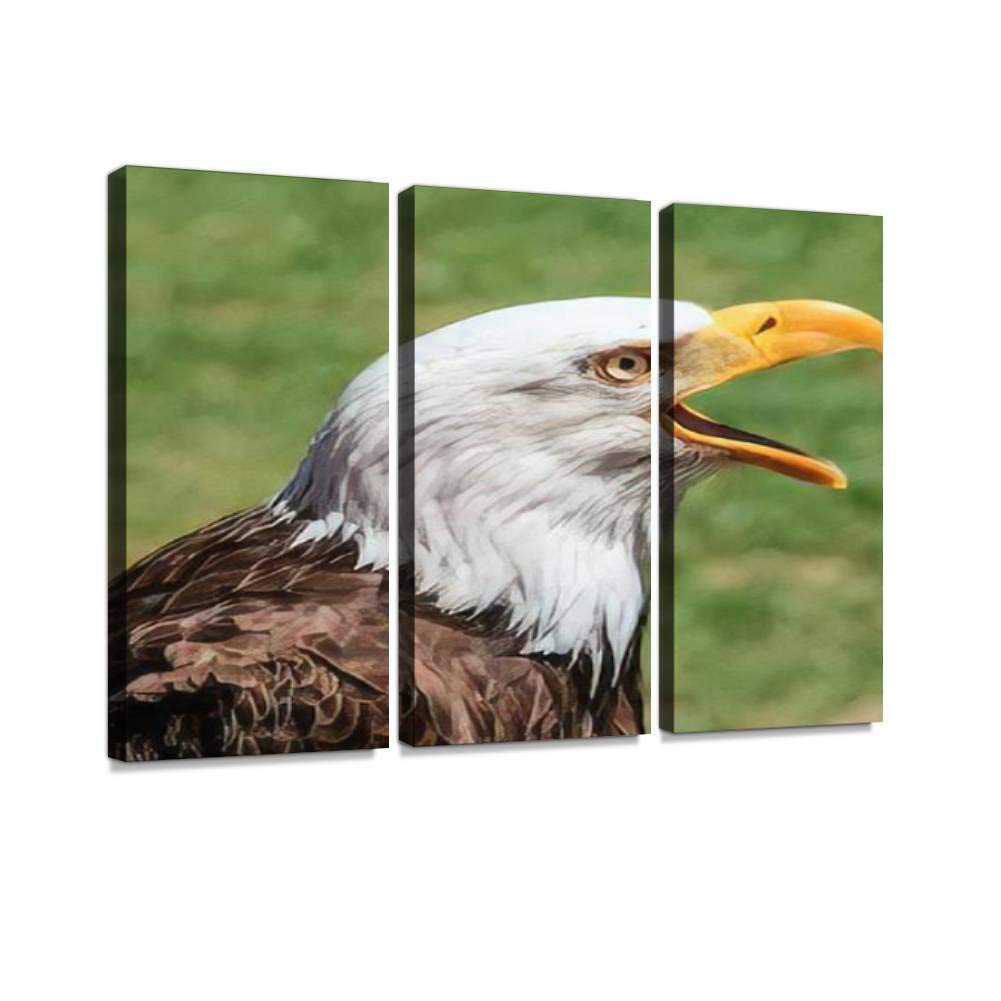 3 Panel Modern Wall Art - Canvas Prints of Screaming Bald Eagle for Home Decor - Ready to Hang Paintings for Living Room & Bedroom - Perfect for American Patriotic Theme & Office Wall Decor