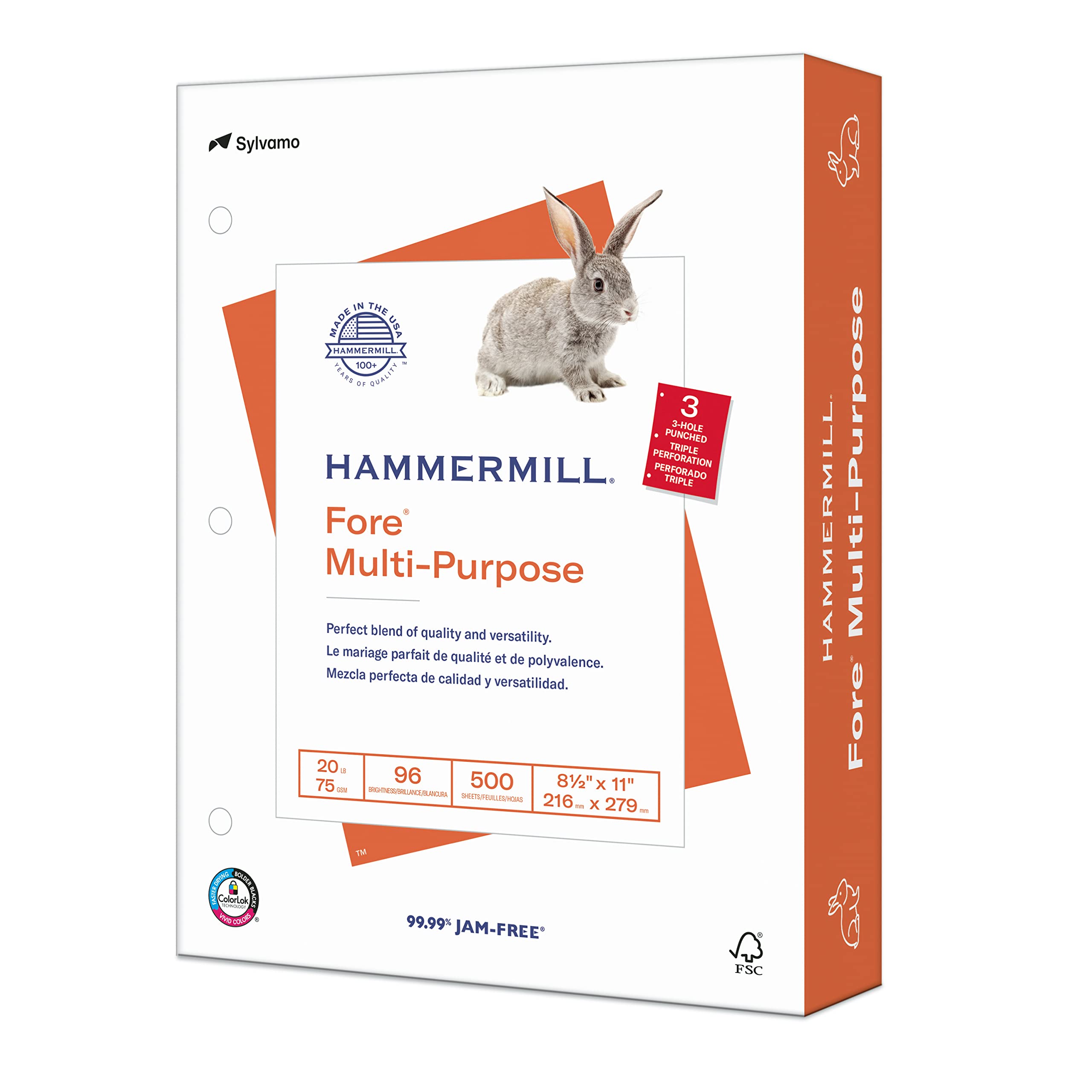 Hammermill Printer Paper, 20 lb Multipurpose Copy Paper, 3-Hole Punched, 1 Ream (500 Sheets), 96 Bright, Made in USA – Ideal for Home, Office, and School Printing, Copying, and Filing