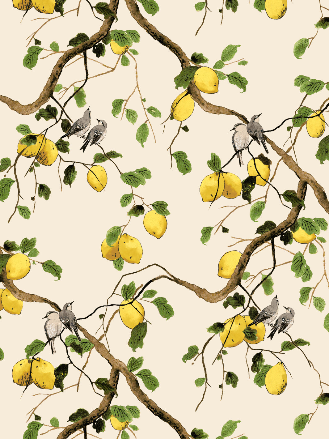 Lemon Birds Wallpaper by Nathan Turner - Beige Floral Peel and Stick Wallpaper for Bedroom, Living Room & Nursery Decor