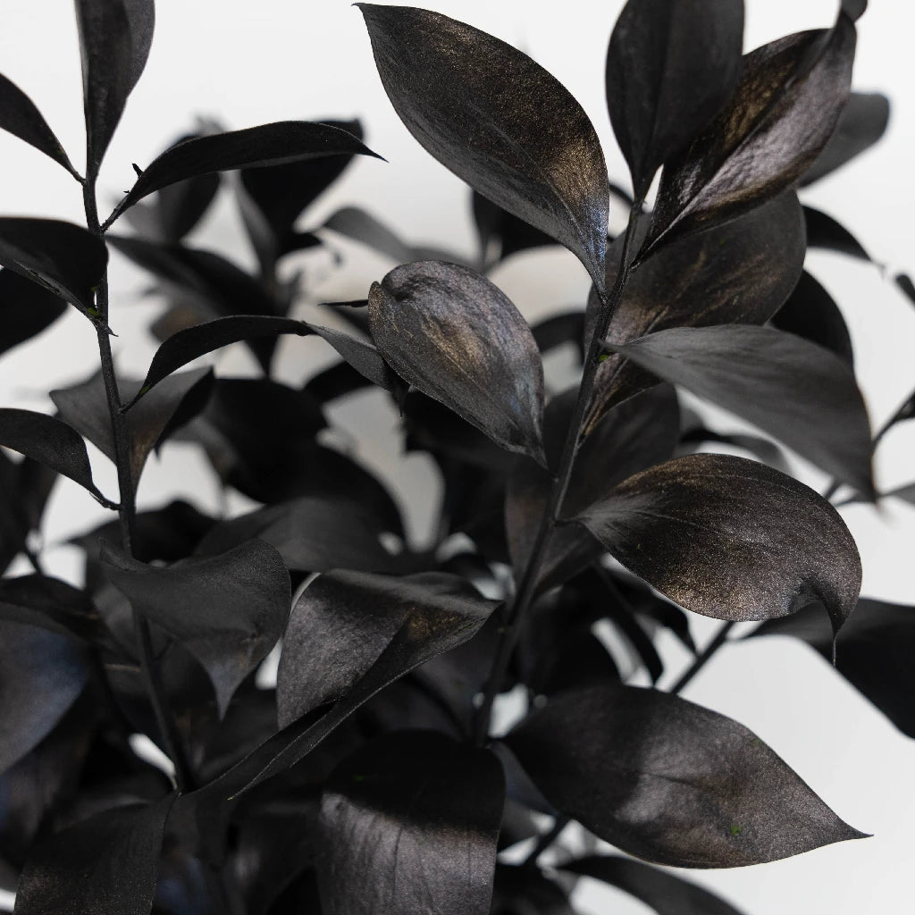Premium Black Tinted Ruscus Greenery - Artificial Faux Eucalyptus Leaves for Wedding Centerpieces, Home Decor & Floral Arrangements