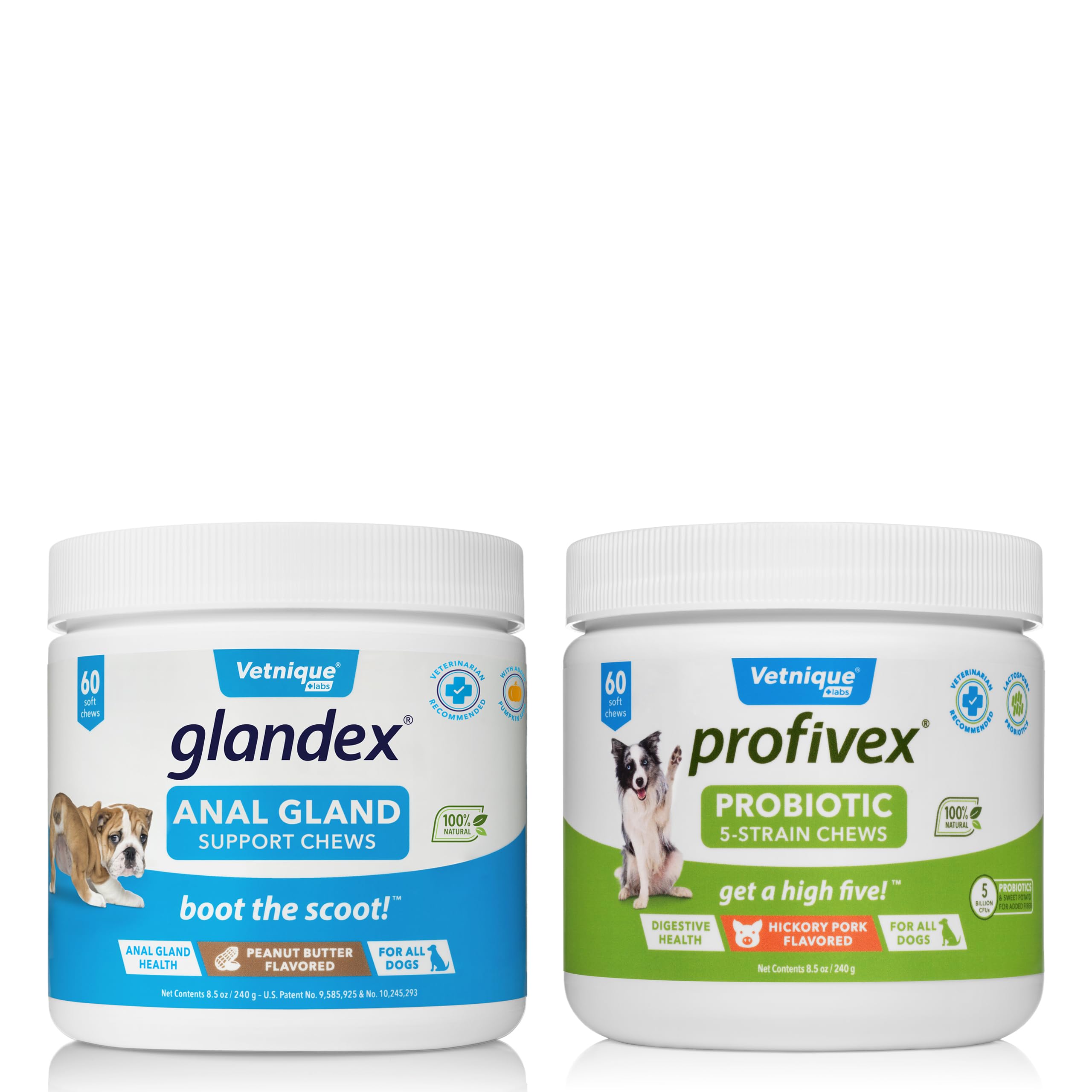 VETNIQUE Profivex 5-Strain Probiotic & Glandex Anal Gland Support Soft Chews for Dogs - 120ct Digestive Health Bundle (60ct Each) - Supports Gut Health & Anal Gland Function - Perfect for Daily Wellness & Digestive Care
