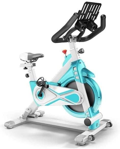 Premium Indoor Cycling Bike - Quiet Belt Drive Stationary Exercise Bike for Home Gym, Cardio & Weight Loss - Perfect for Home Workouts, Apartment Fitness & Low-Impact Training