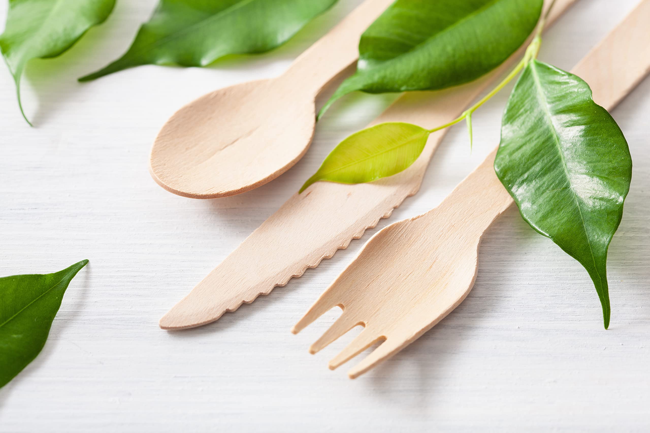 Eco-Friendly Bamboo Disposable Cutlery Set - 300-Pack Compostable Utensils (120 Forks, 120 Spoons, 60 Knives) for Parties, BBQs, Picnics, Camping & Everyday Use - Durable & Biodegradable Tableware
