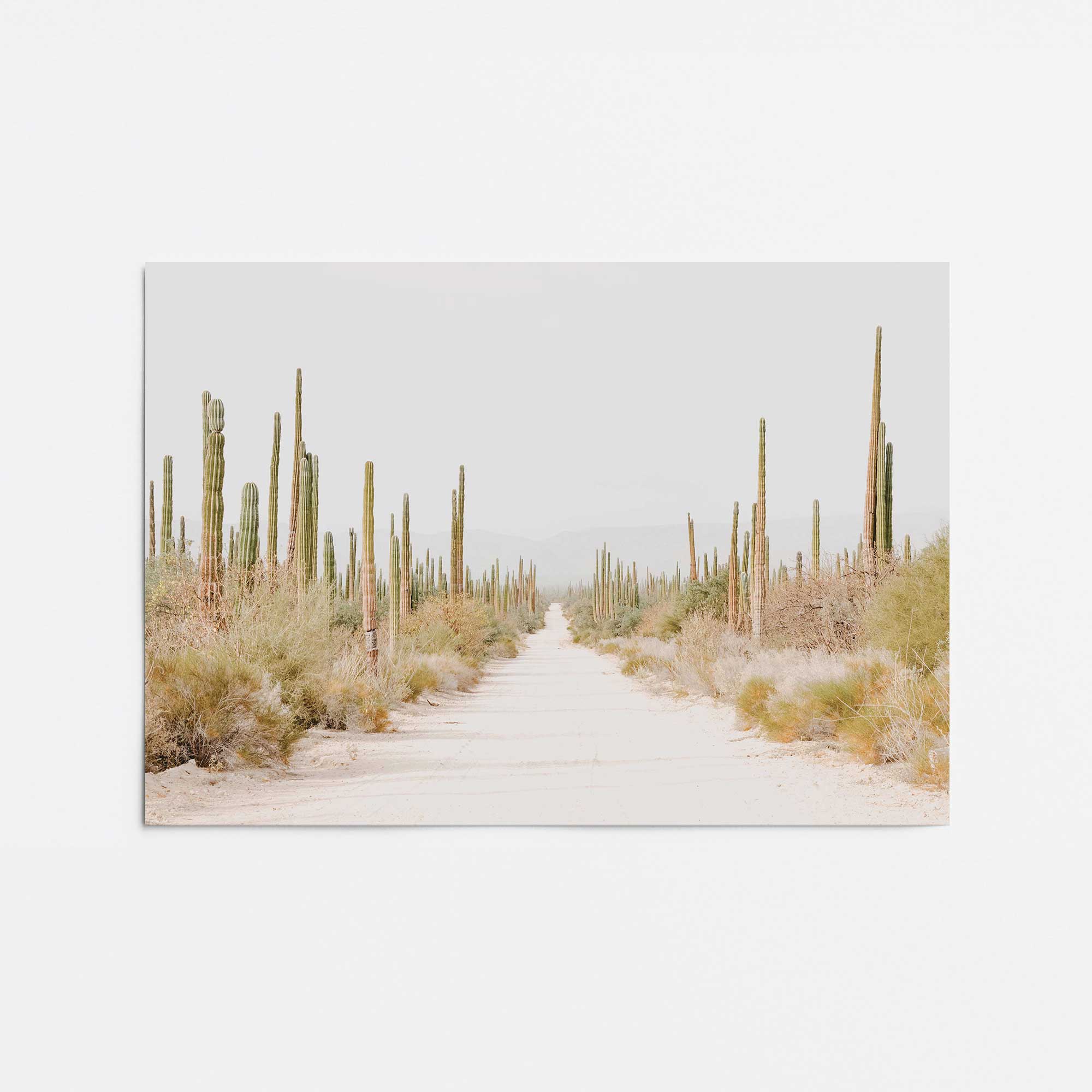 Desert Tranquility Wall Art Print - Scenic Landscape Poster for Home & Office Decor - Perfect for Living Room, Bedroom or Workspace