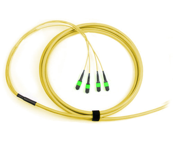 High-Quality MTP Trunk Cable - APC Polish Single Mode 24 Fiber 9/125μm Plenum Rated for Data Centers & High-Speed Networks