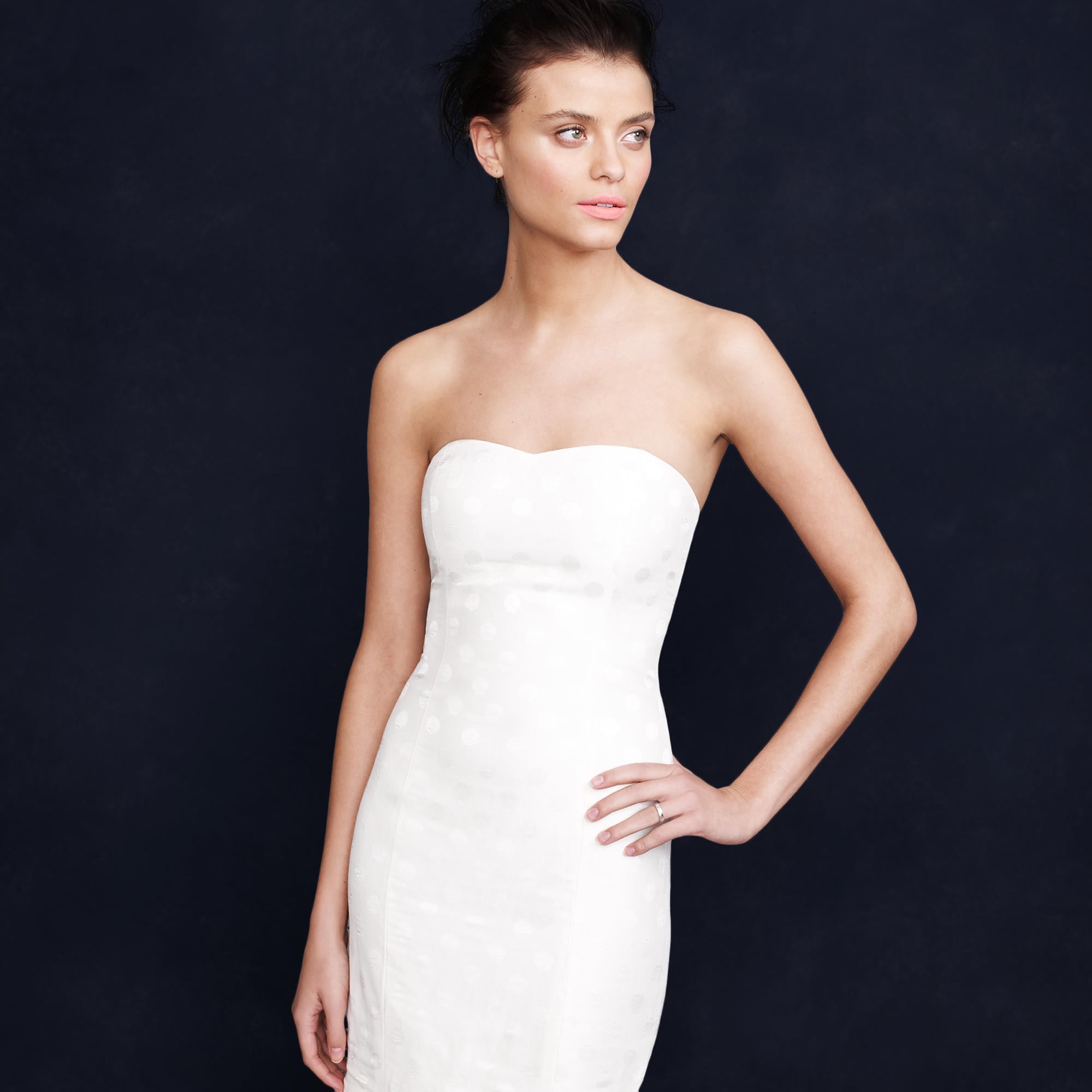 J. Crew Serena Wedding Gown - Elegant Lace Bridal Dress for Bride, Perfect for Church Ceremony & Beach Weddings